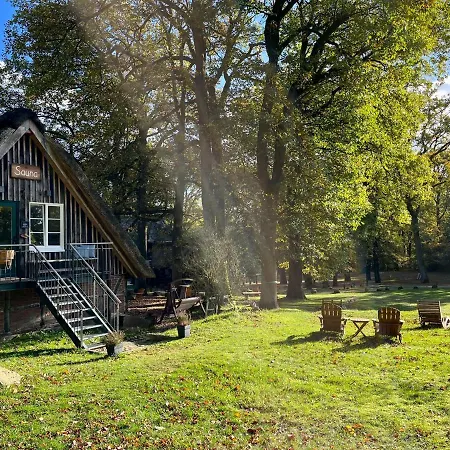 Stimbekhof 3*